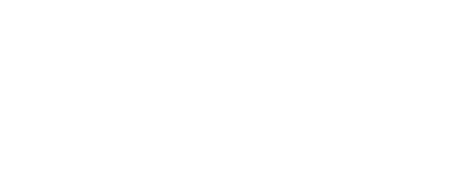 Lifewinner logo